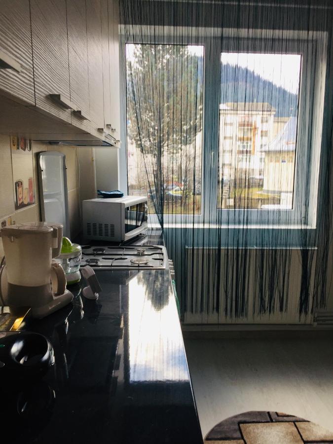Alessia Residence Câmpulung Moldovenesc Eksteriør billede